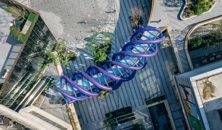 Light Vortex Bridge